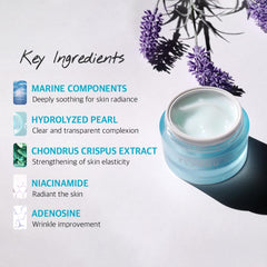 AQUA CREAM, Cooling Effect , Light Weight Texture, Hypoallergenic , Soothing , Wrinkle Care Cream , Niacinamide Makeupstashpk