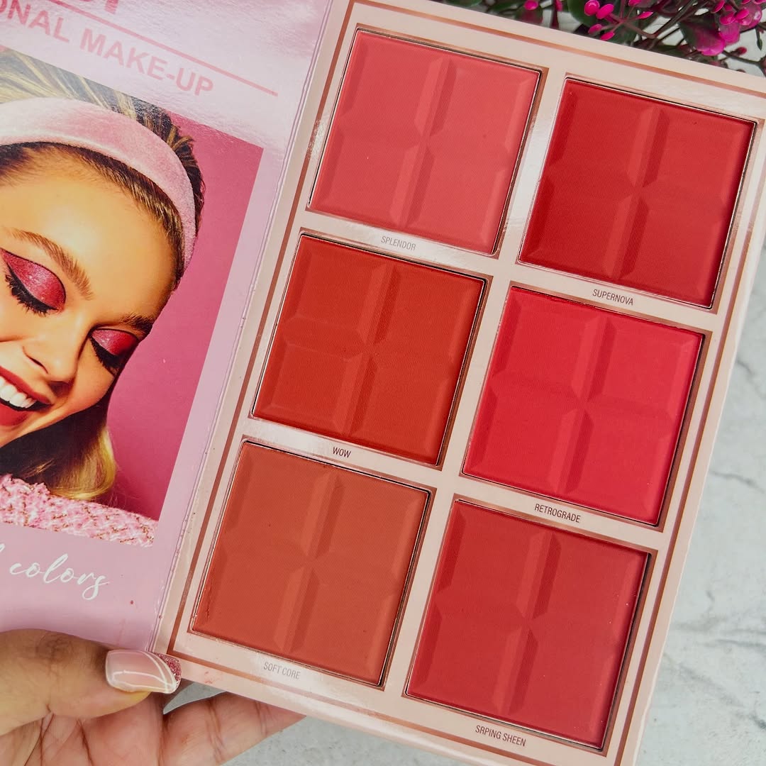 Professional Makeup alette , Matte Shimmer , Beauty Makeup kit , Makeup beginners , Makeupstashpk