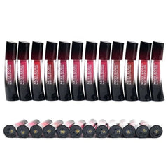 high-shine, hydrating lip gloss. Lightweight,non-sticky , glam looks , Mkeupstashpk