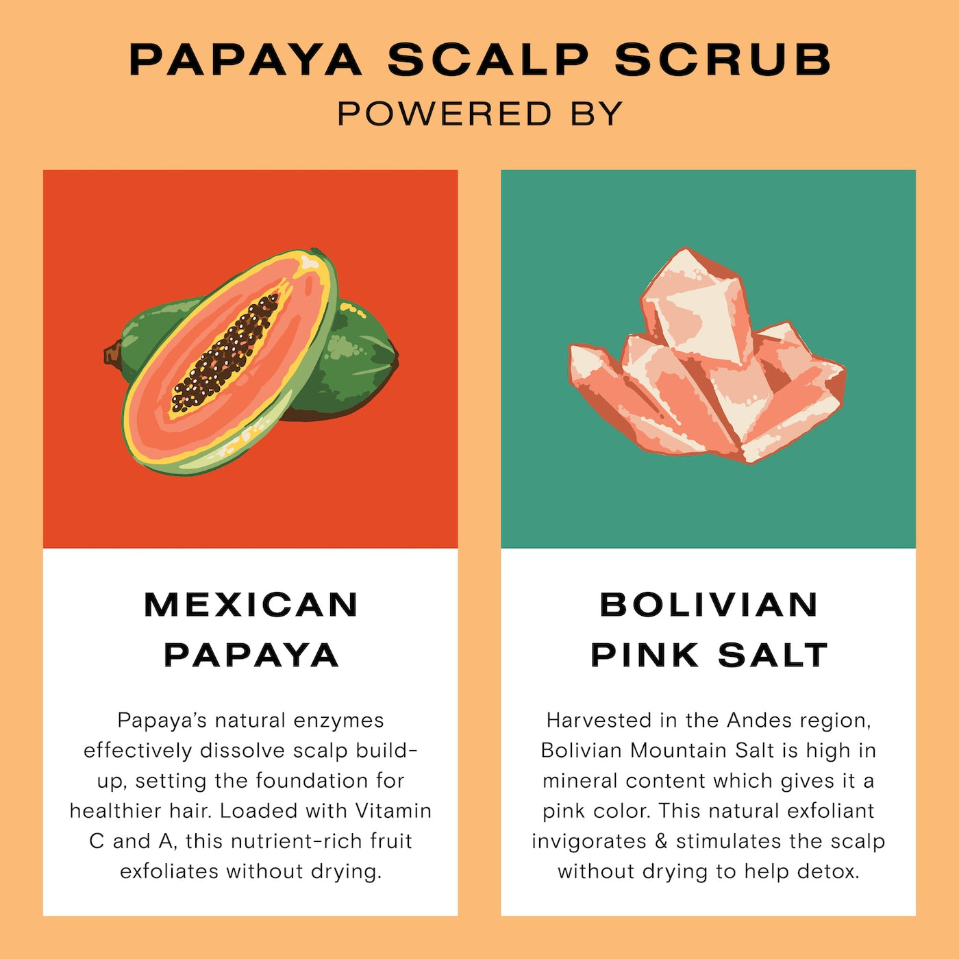  Exfoliating ,Detoxifying ,Treatment , Hair Care , Makeup Stash Pakistan
